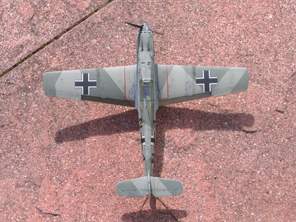 d4.jpg